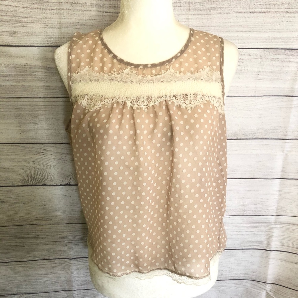 Iris Basic | Sheer Polka Dot Lace Open Back Blouse